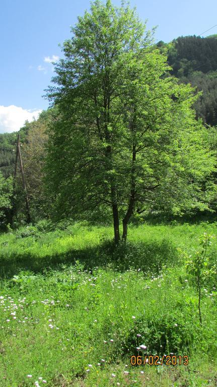 Dilijan Duplex Villa Eksteriør billede